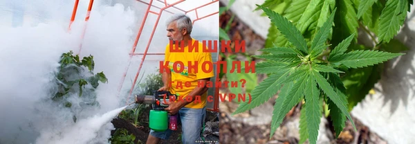 первитин Алексеевка