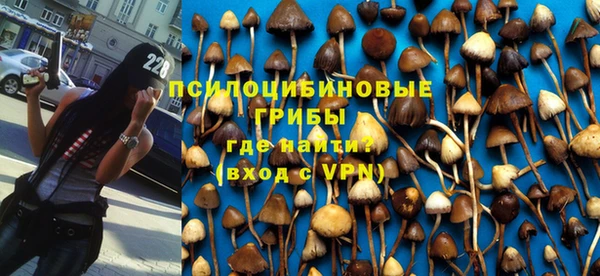 мяу мяу мука Алзамай