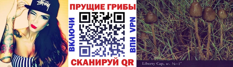 где найти наркотики  KRAKEN ссылки  Псилоцибиновые грибы Psilocybe  Черепаново 